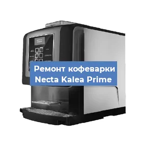 Чистка кофемашины Necta Kalea Prime от кофейных масел в Нижнем Новгороде
